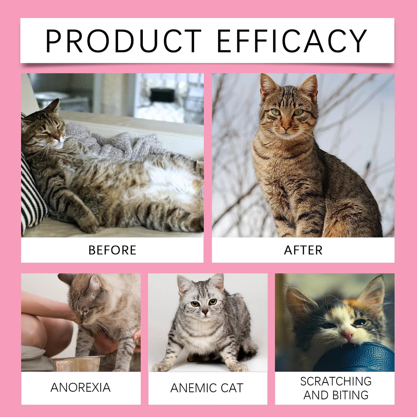 Cats Mood Relaxer Micronutrient Tablets For Cats Supplement With Vitamins For Balanced Diet Nutritional Support