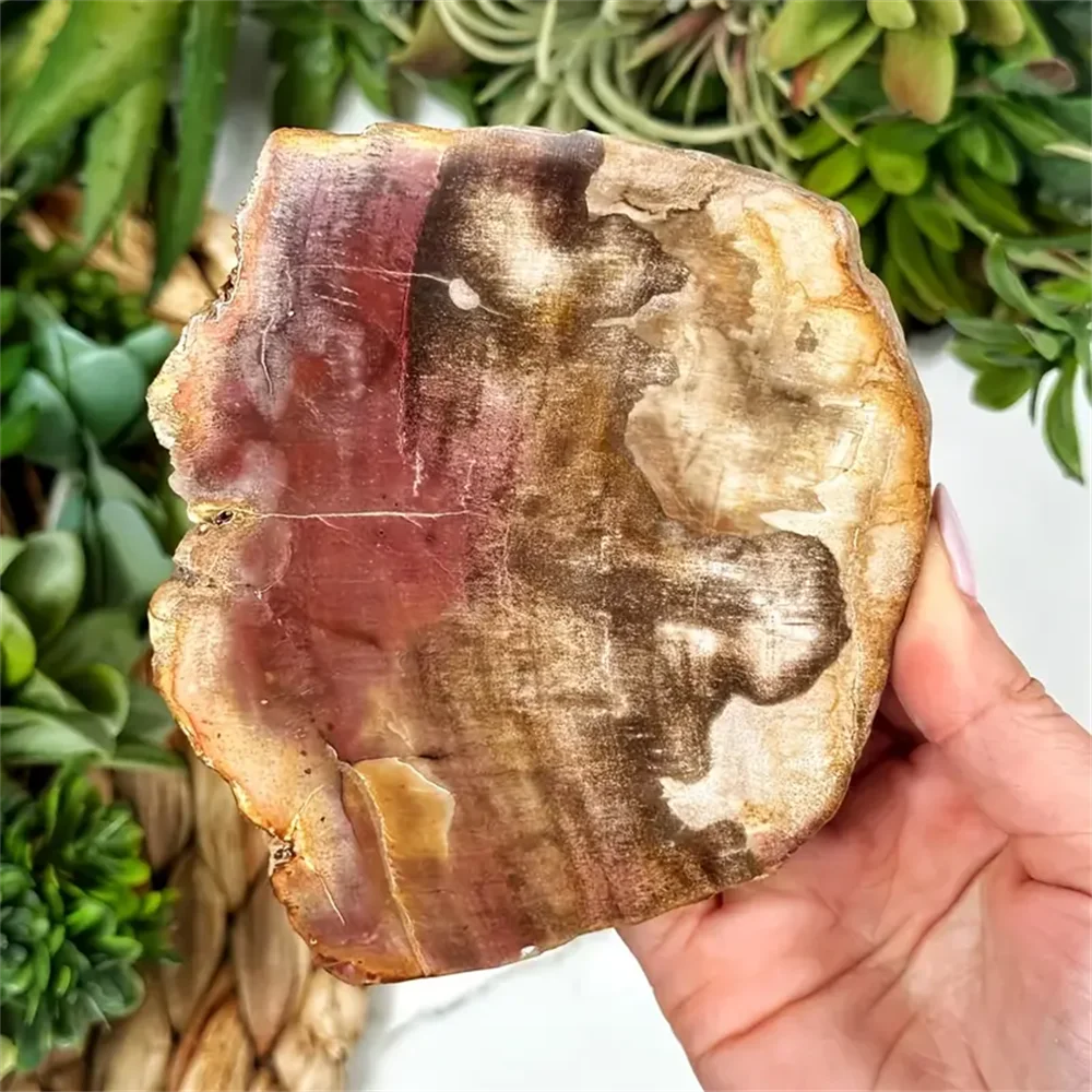 1pc Large stone wood crystal panels - With intricate wood grain and mineral patterns, featuring natural stone decoration,