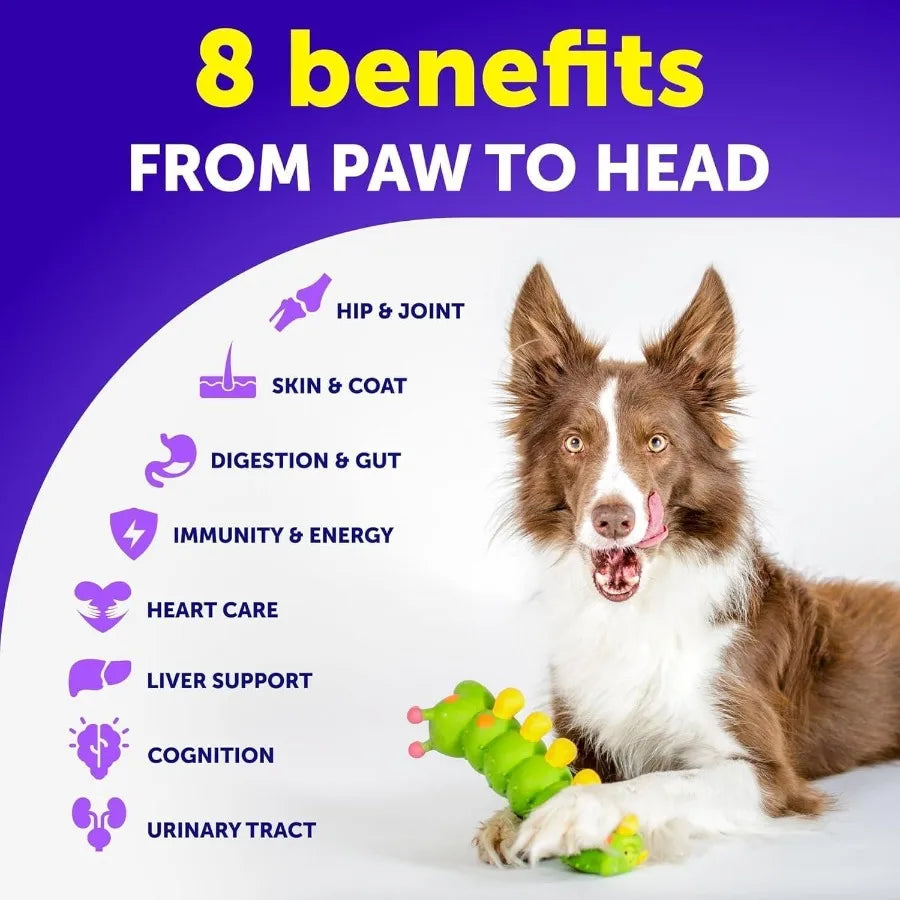 Dog Multivitamin Chewable with Glucosamine 20 in 1 Senior Puppy Vitamins and Supplements for Joint Health