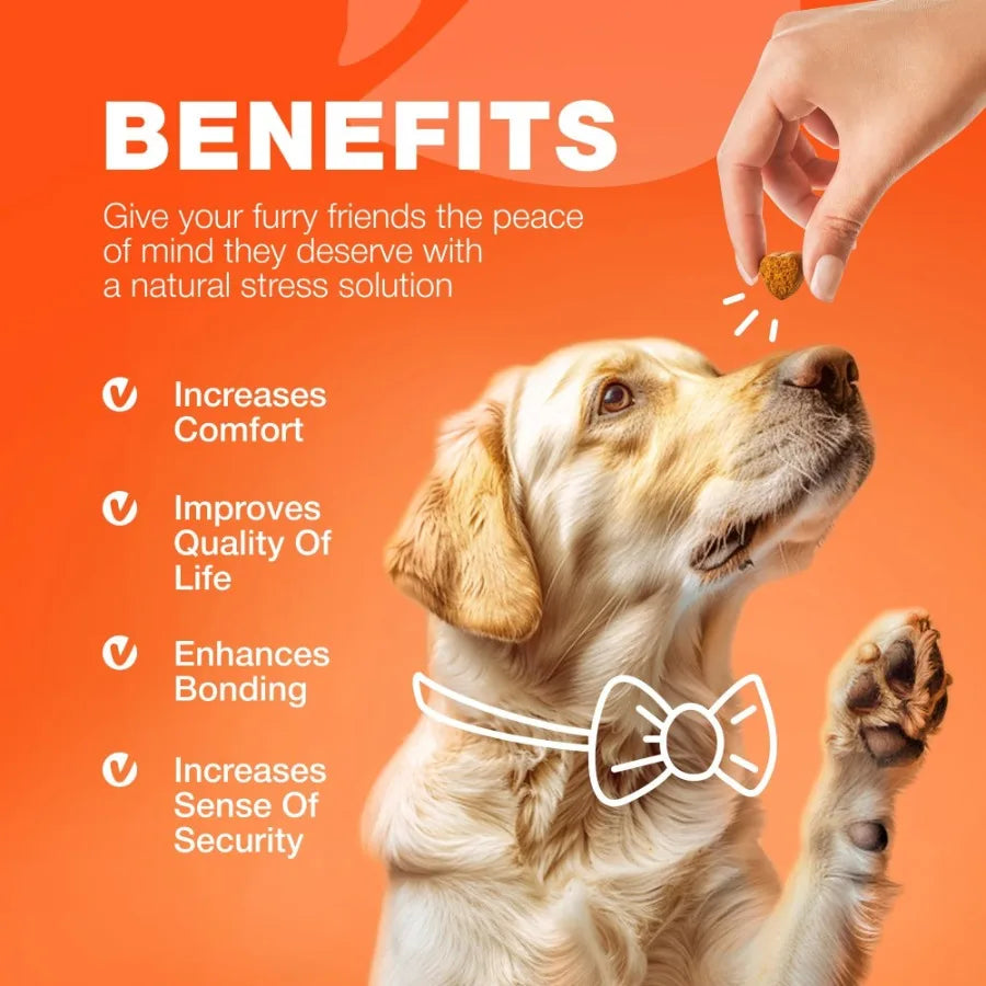 Glucosamine for Dogs Hemp Hip and Joint Supplement Chews with Chondroitin MSM Turmeric and Collagen for Mobility