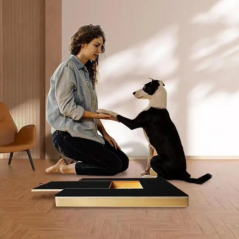 Dog Scratch Pad for Nails Dog Nail File Scratching Board Interactive Pet Toy