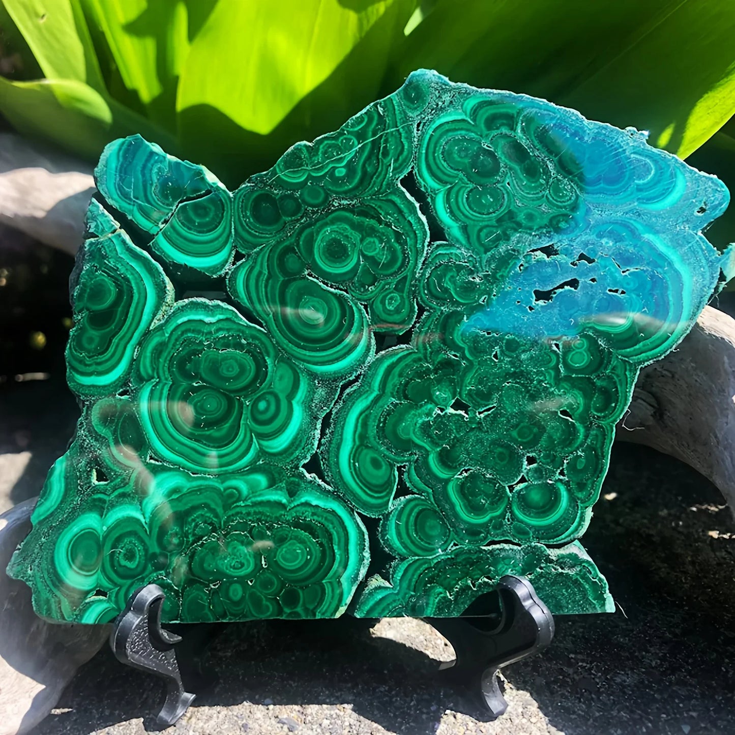 1PC Rare Malachite Flake Quartz Crystal Luster Mineral Raw Stone Slab Pure Natural Crystals Home Decoration Gift
