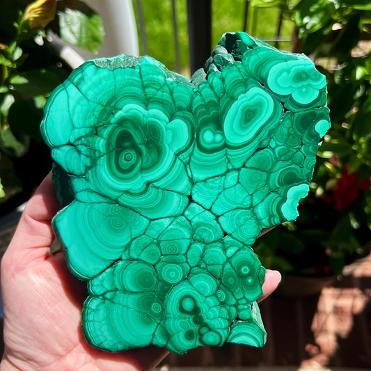 1PC Rare Malachite Flake Quartz Crystal Luster Mineral Raw Stone Slab Pure Natural Crystals Home Decoration Gift
