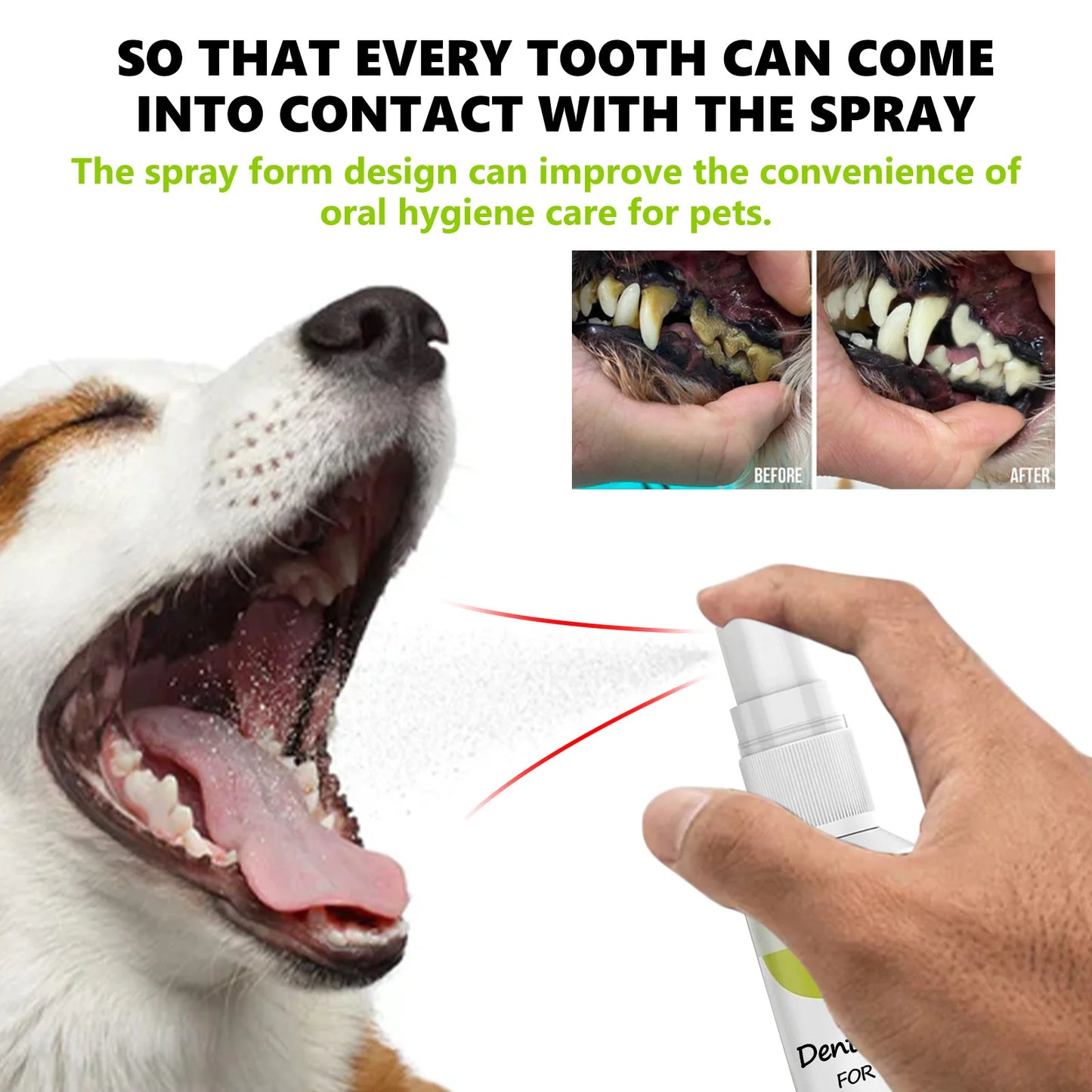Cat and Dog Mint Fresh Breath Spray Oral Cleansing Deodorant Odor Removal Pet Supplies 100ml