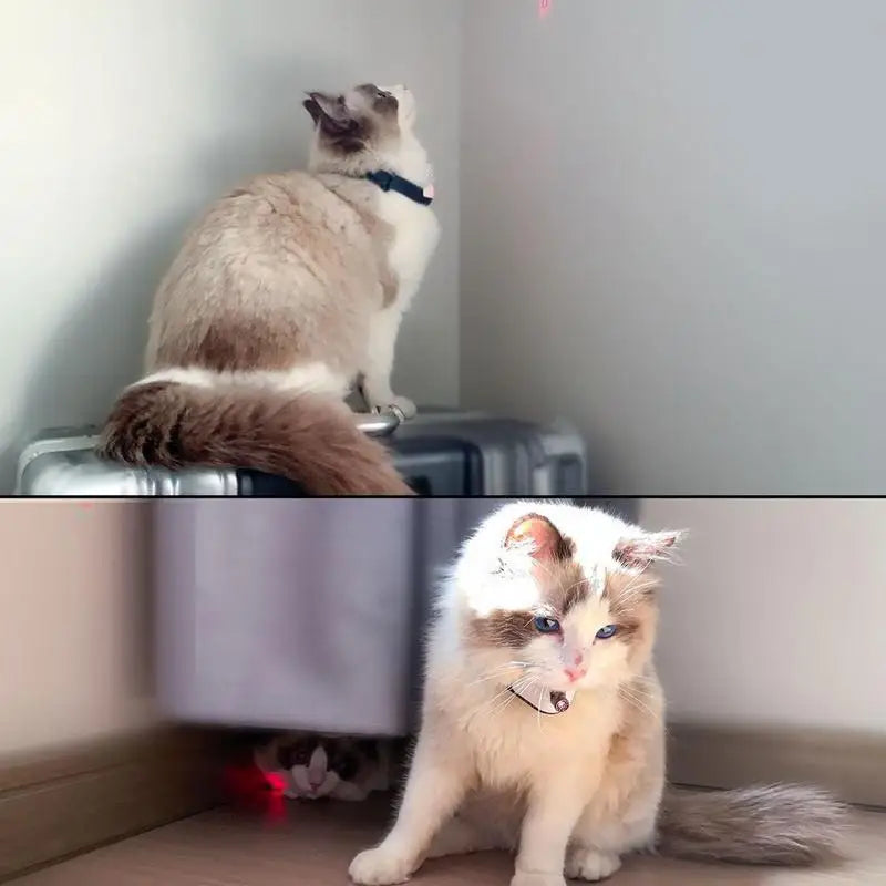 Wearable Cat Toys With LED Lights Smart Cat Laser Collar Electric Interactive Amusing Collar For Kittens
