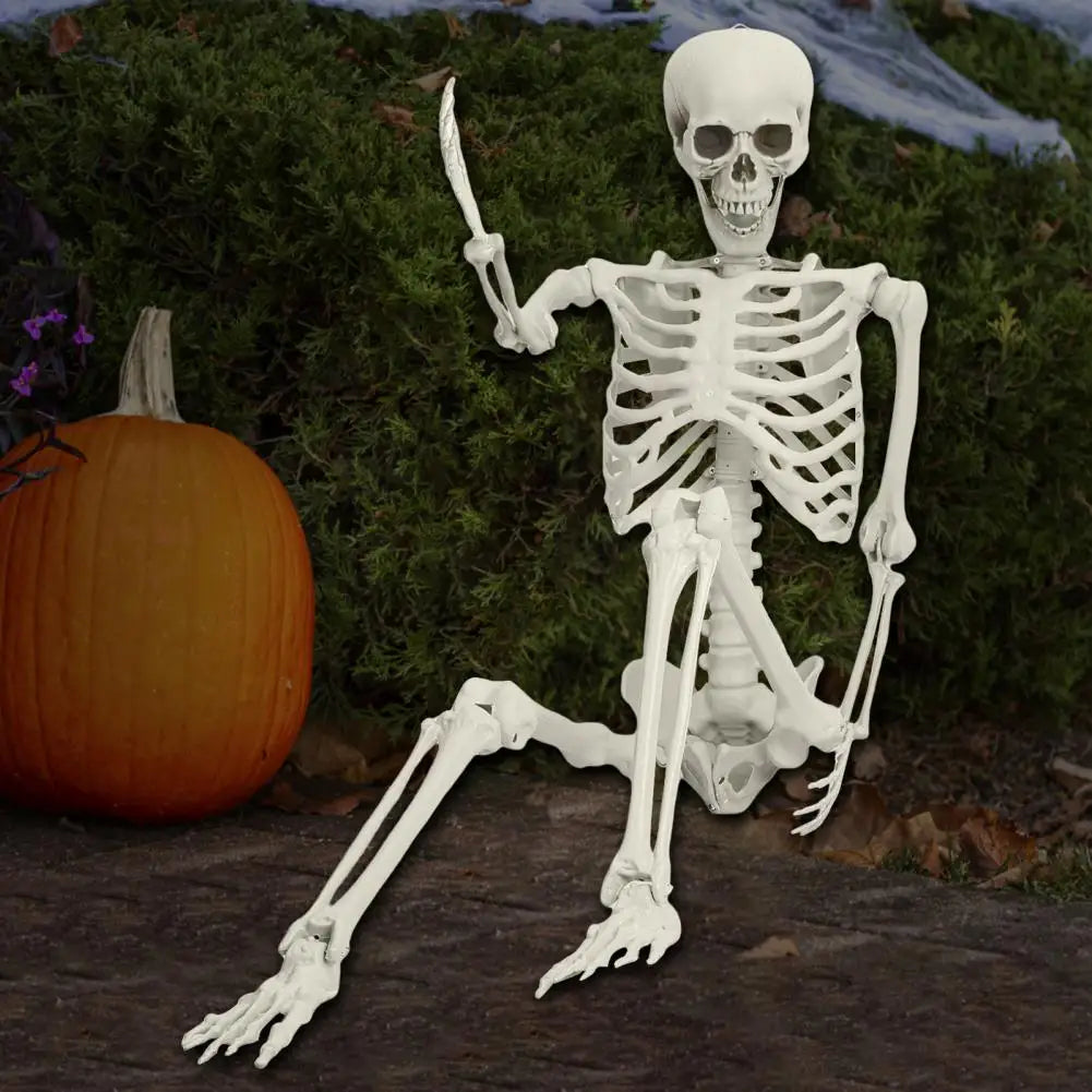 5.4ft Poseable Skeleton Prop Plastic Halloween Photo Prop