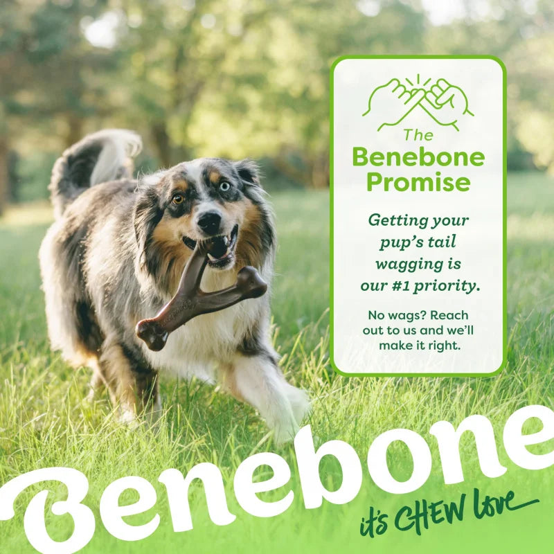 Durable Wishbone Dog Chew Toy for Aggressive Chewers Real Bacon Flavor Tough Long Lasting Chew Bone for Puppies