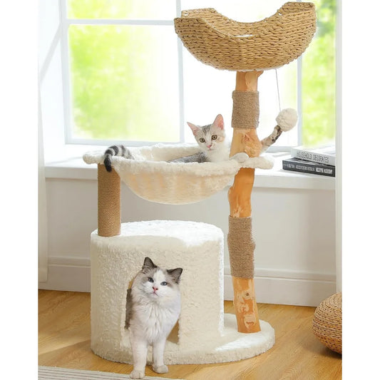 Modern Cat Tree for Large Cats Wood Cat Tower for Indoor Cats Real Branch Luxury Cat Furniture with Super Large Cozy Condo