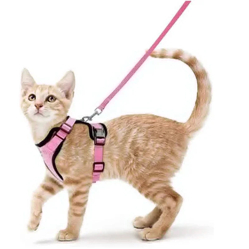 Cat Harness and Leash for Walking Escape Proof Soft Adjustable Vest Harnesses for Cats Easy Control Pet Collar