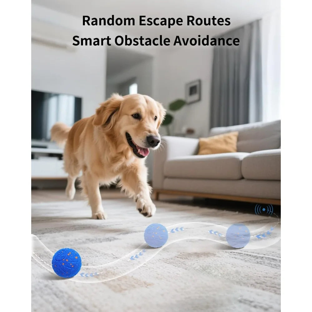 Schitec Interactive Dog Toy Ball Auto Movement Modes