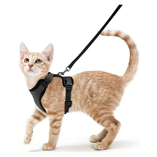 Cat Harness and Leash for Walking Escape Proof Soft Adjustable Vest Harnesses for Cats Easy Control Pet Collar
