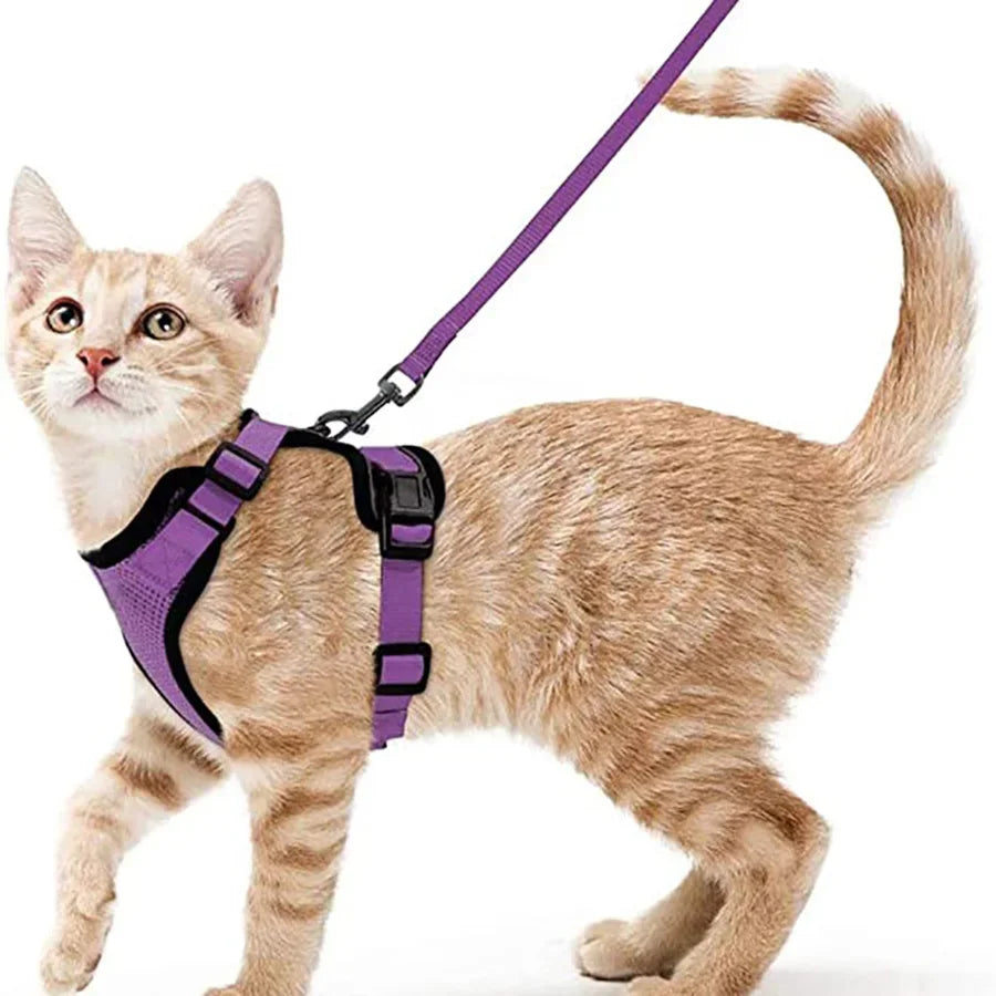 Cat Harness and Leash for Walking Escape Proof Soft Adjustable Vest Harnesses for Cats Easy Control Pet Collar