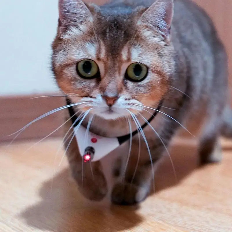 Wearable Cat Toys With LED Lights Smart Cat Laser Collar Electric Interactive Amusing Collar For Kittens