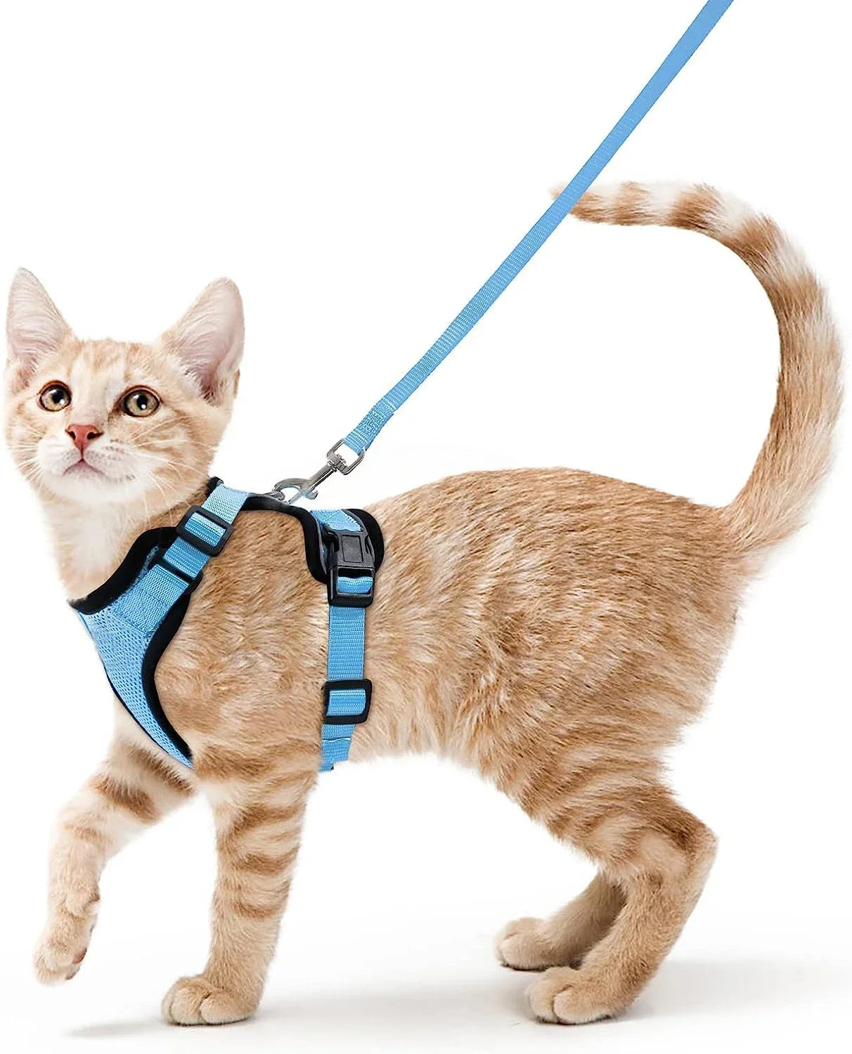 Cat Harness and Leash for Walking Escape Proof Soft Adjustable Vest Harnesses for Cats Easy Control Pet Collar
