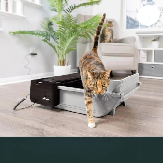 Free Shipping Self Cleaning Automatic Cat Litter Box Smart Scoop Cat Litter Box with 6 Bags and Carbon for Up to Two Cats 6 to 16 Pounds