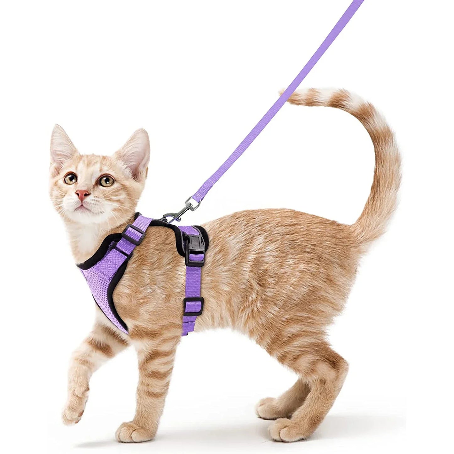 Cat Harness and Leash for Walking Escape Proof Soft Adjustable Vest Harnesses for Cats Easy Control Pet Collar