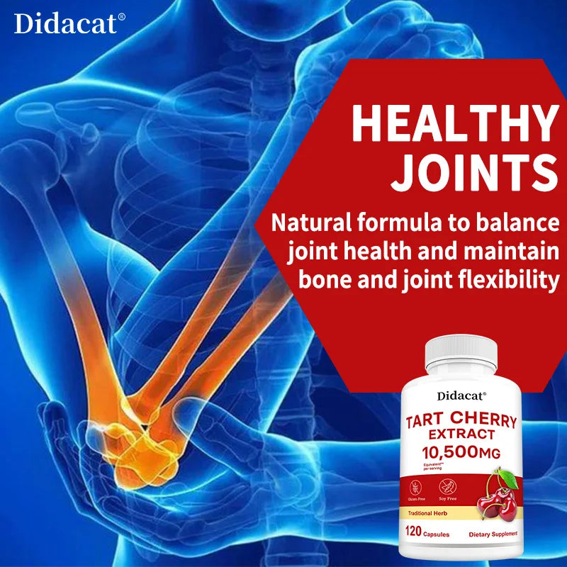 Cherry Extract Capsules for Antioxidant Support Joint Health Energy and Skin Health