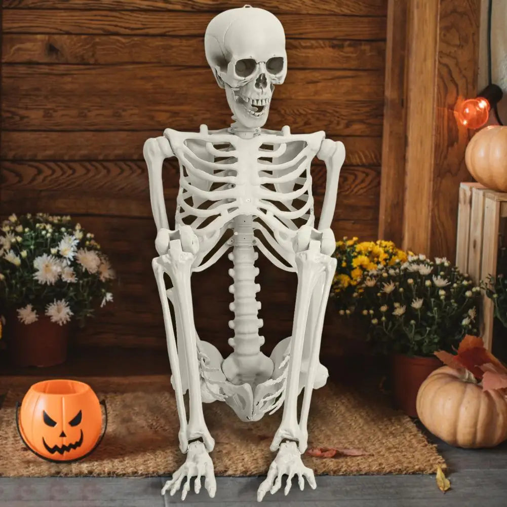 5.4ft Poseable Skeleton Prop Plastic Halloween Photo Prop