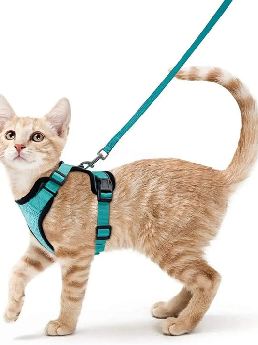 Cat Harness and Leash for Walking Escape Proof Soft Adjustable Vest Harnesses for Cats Easy Control Pet Collar Personalized