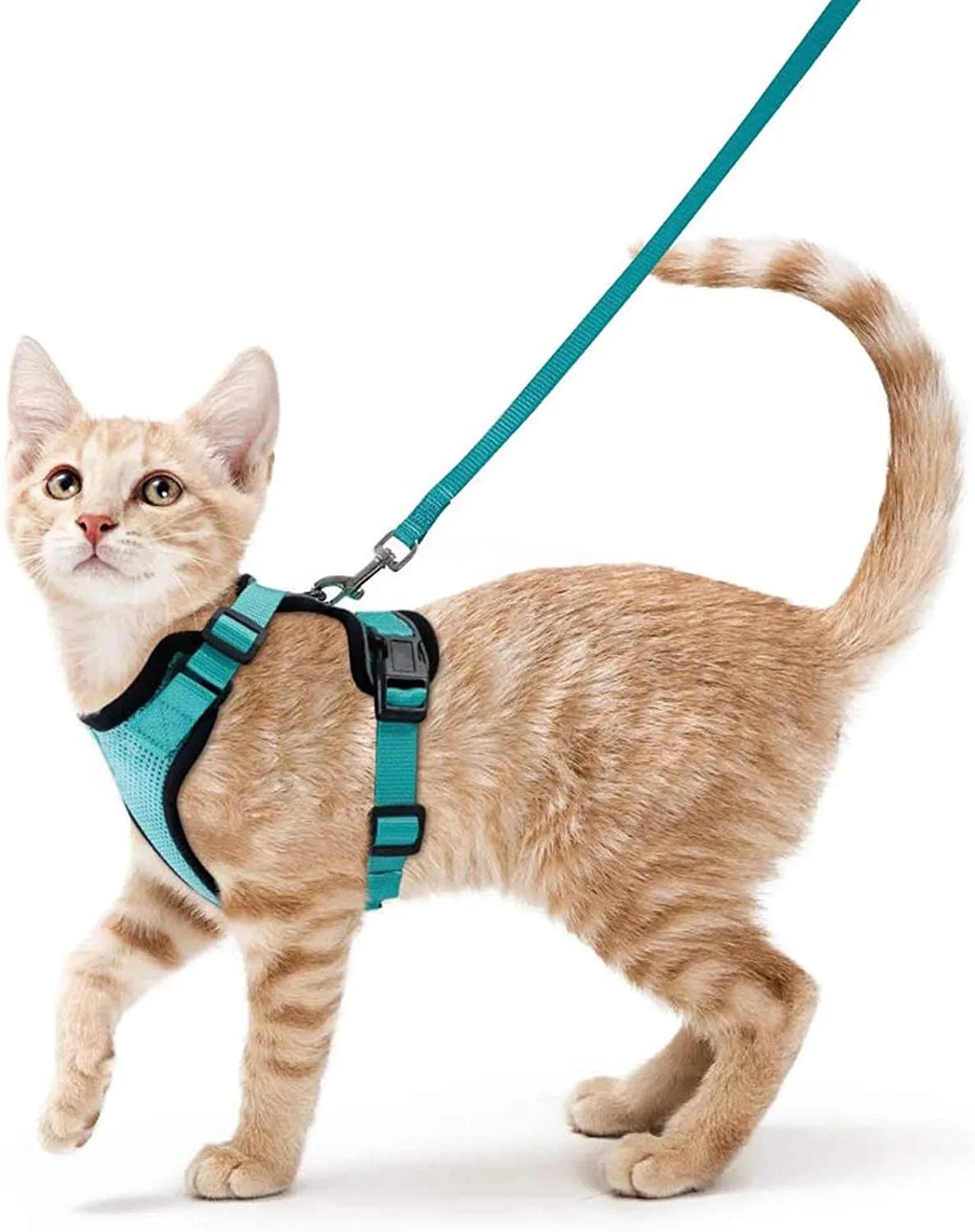 Cat Harness and Leash for Walking Escape Proof Soft Adjustable Vest Harnesses for Cats Easy Control Pet Collar