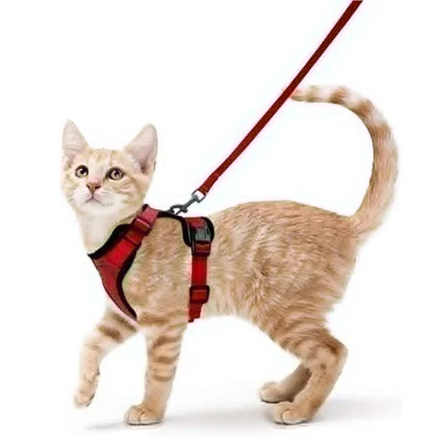 Cat Harness and Leash for Walking Escape Proof Soft Adjustable Vest Harnesses for Cats Easy Control Pet Collar