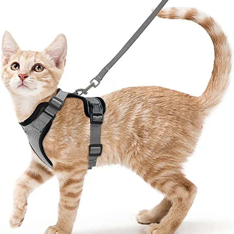 Cat Harness and Leash for Walking Escape Proof Soft Adjustable Vest Harnesses for Cats Easy Control Pet Collar