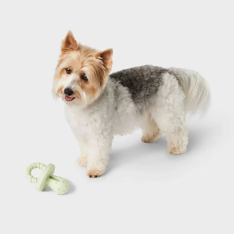 Small Dog Chew Toy Pacifier Shaped Rubber Bone Under 15 Lbs