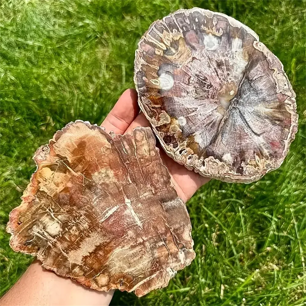 1pc Large stone wood crystal panels - With intricate wood grain and mineral patterns, featuring natural stone decoration,