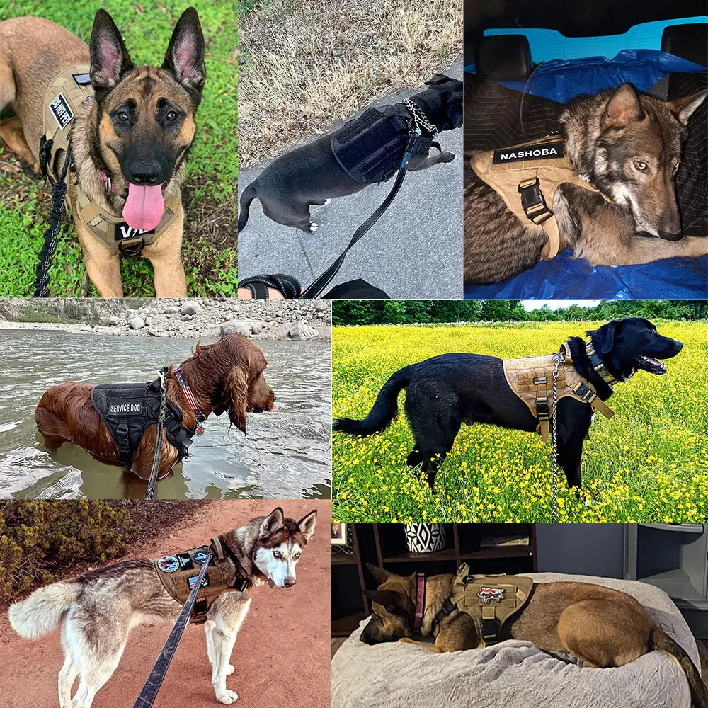 Military Large Dog Harness with Collar Leash Bags and Patches Set for Pet Malinois Training Vests Tactical Dog Accessories