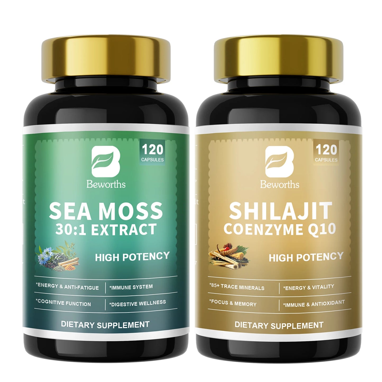 Shilajit And Sea Moss Set With CoQ10 And Ashwagandha