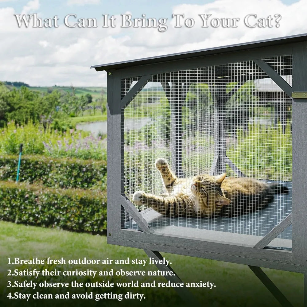 Cat Window Box Catio Outdoor Enclosure with Window Perch